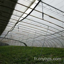 Système d&#39;irrigation par aspersion de légumes agricoles